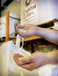 A Solution for Saskatoon