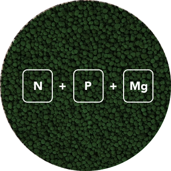 Optimized Nutrient Formula