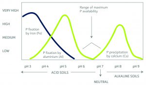 Crystal Green Ph Availability Graph