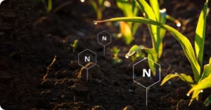 Nitrogen in the field
