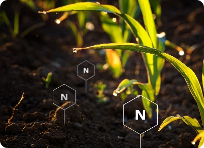 Nitrogen