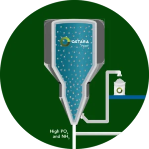 How Pearl Reactor Works