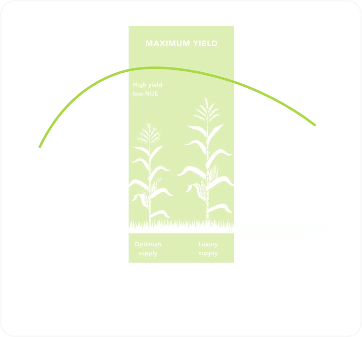 Phosphorous Infographic
