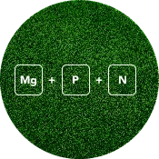 Phosphate fertilizer