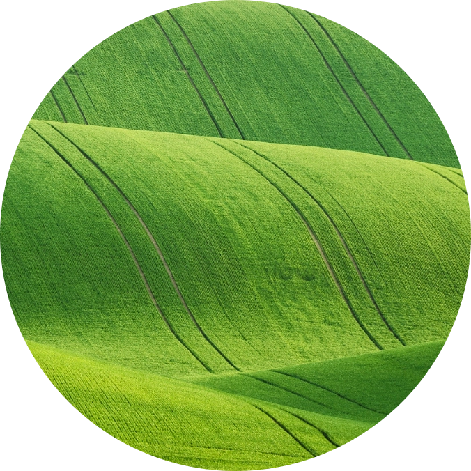 Rolling Hills