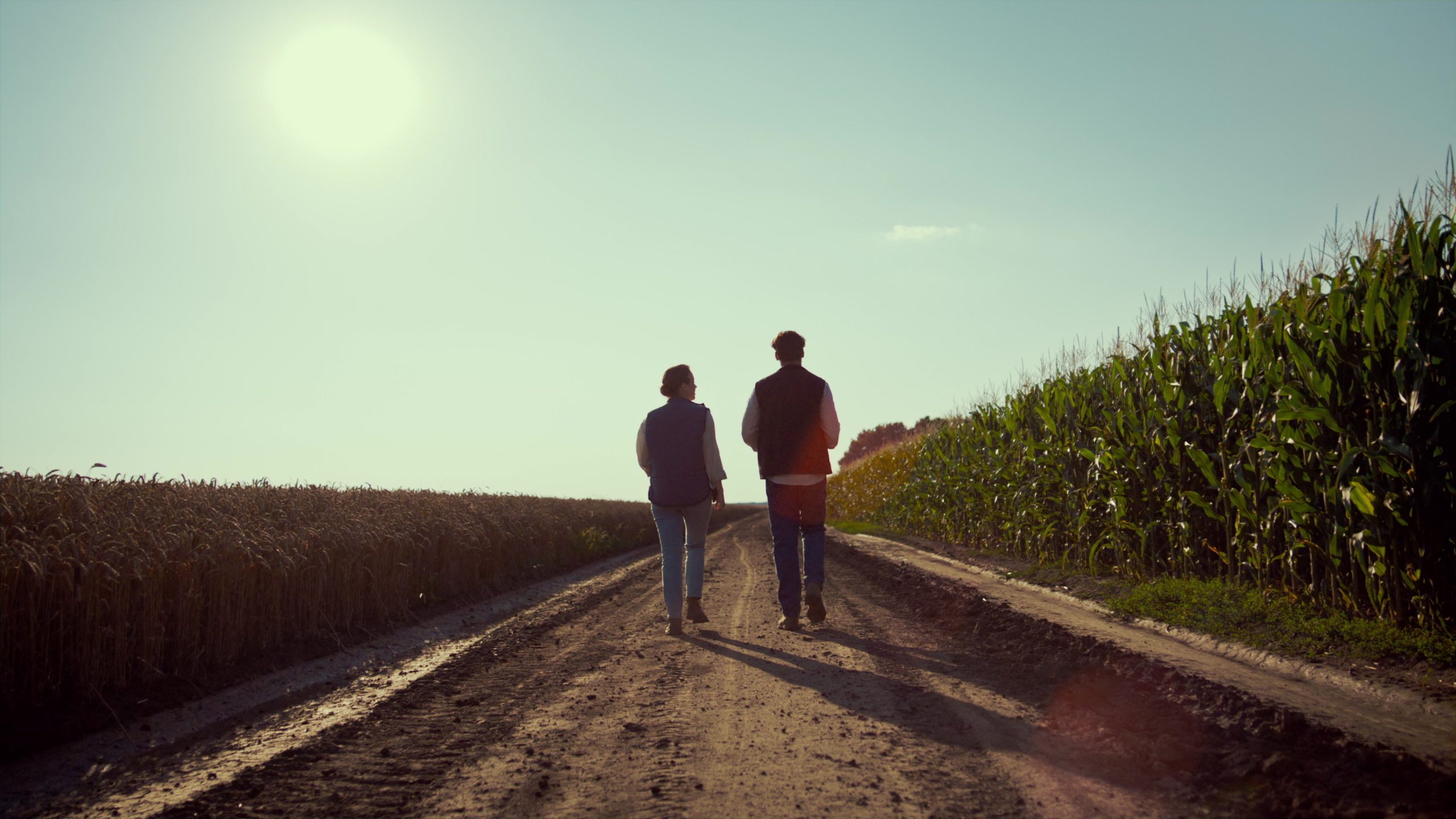 Agronomists Walking Ground Road Together. Farmers Silhouettes Inspecting Harvest