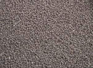 Crystal Green Up Close