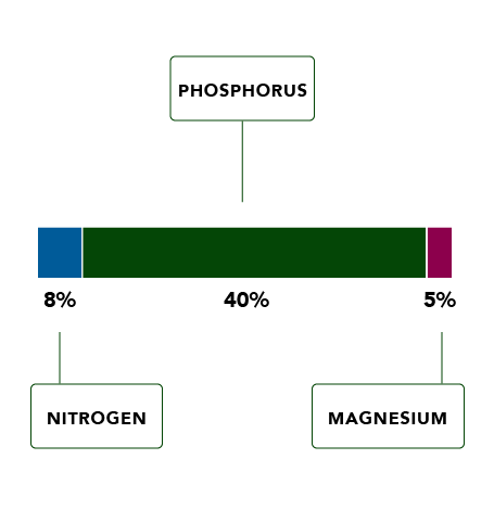 Cg Analysis Graphic Phosphorus 02