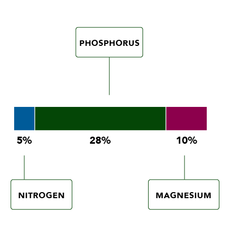 Cg Analysis Graphic Phosphorus 03