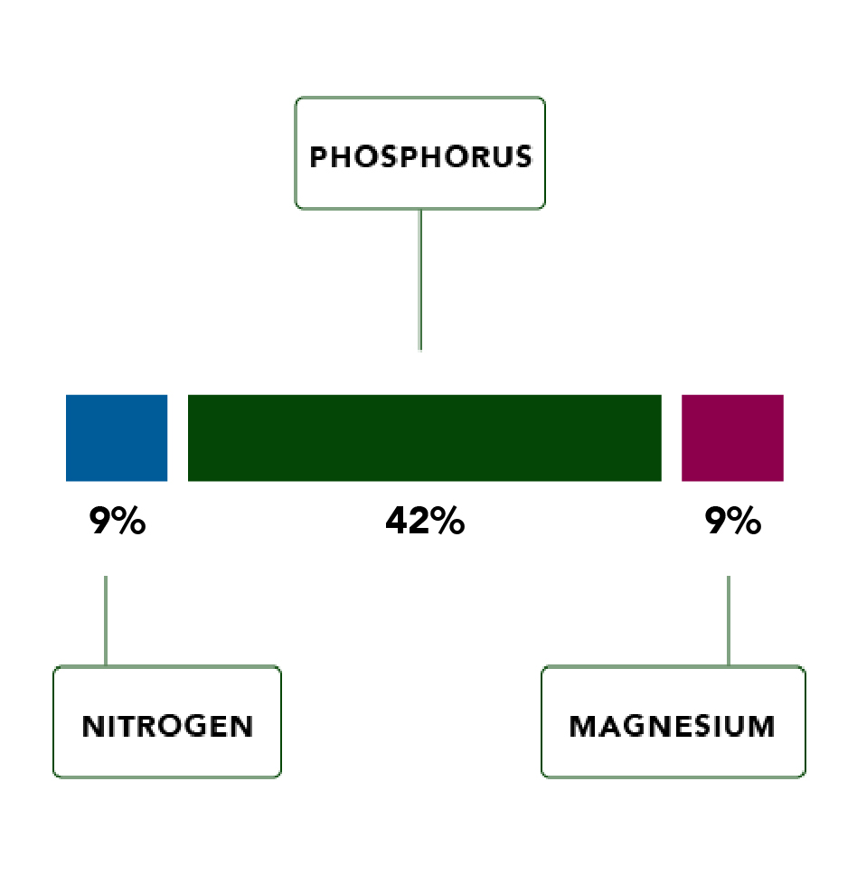 Cg Analysis Graphic 2026